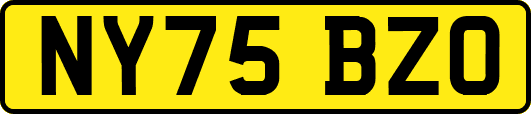 NY75BZO