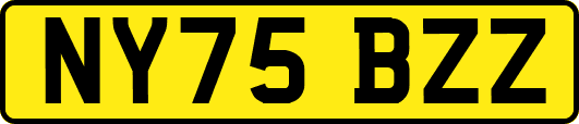 NY75BZZ