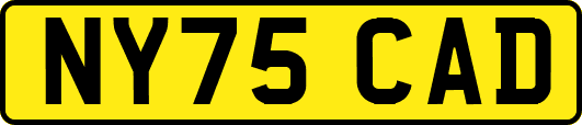 NY75CAD