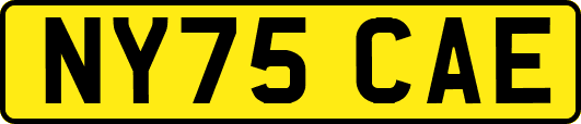 NY75CAE
