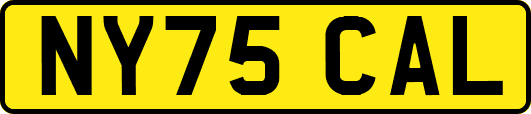 NY75CAL