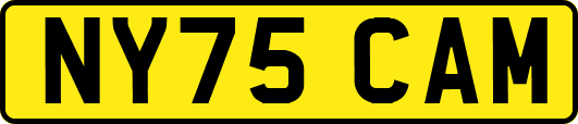 NY75CAM