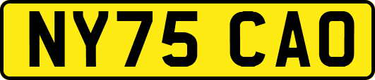 NY75CAO