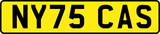 NY75CAS