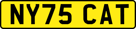 NY75CAT