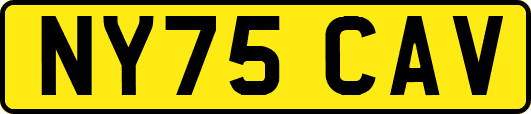 NY75CAV