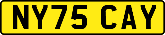 NY75CAY