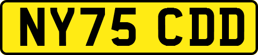 NY75CDD