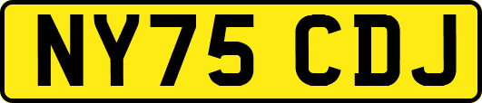 NY75CDJ