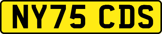 NY75CDS