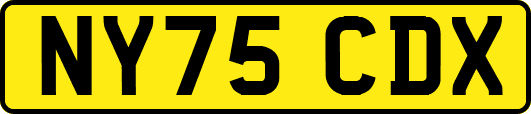 NY75CDX