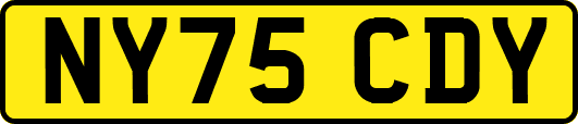 NY75CDY
