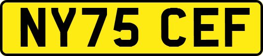 NY75CEF