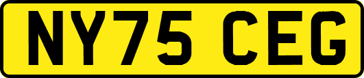 NY75CEG