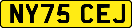 NY75CEJ