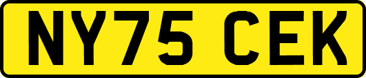 NY75CEK