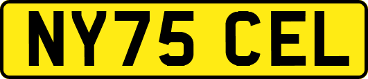 NY75CEL