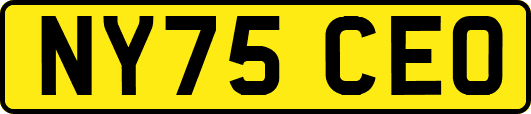 NY75CEO