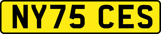 NY75CES
