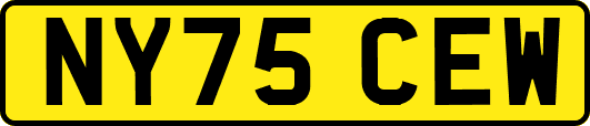 NY75CEW