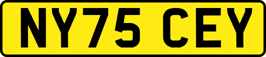 NY75CEY