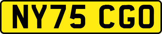 NY75CGO