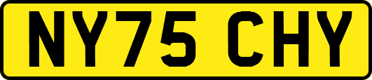 NY75CHY