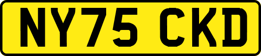 NY75CKD