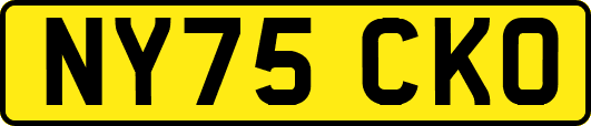 NY75CKO