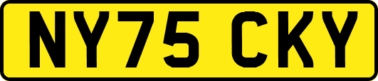 NY75CKY