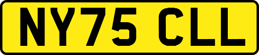 NY75CLL