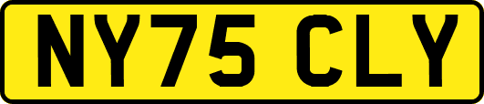 NY75CLY