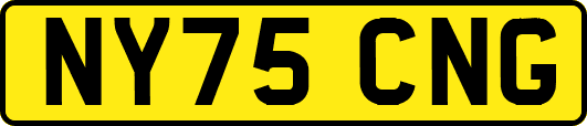 NY75CNG