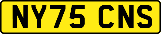 NY75CNS