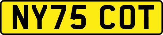 NY75COT