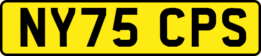 NY75CPS