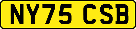 NY75CSB