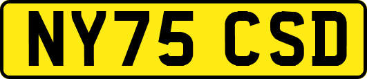 NY75CSD