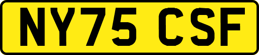 NY75CSF