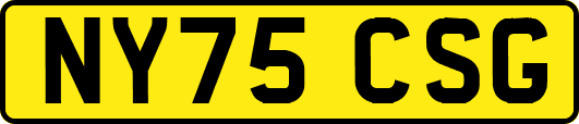 NY75CSG