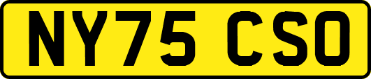 NY75CSO