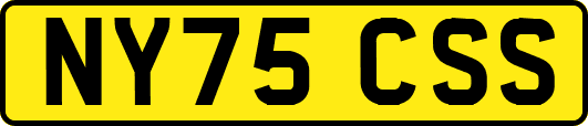 NY75CSS