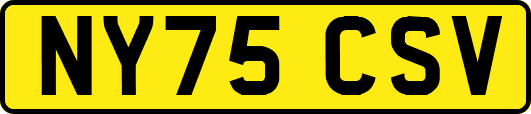 NY75CSV