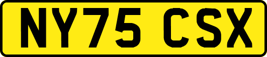 NY75CSX