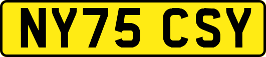 NY75CSY