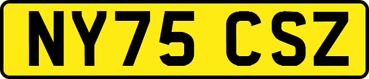 NY75CSZ