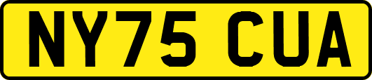 NY75CUA