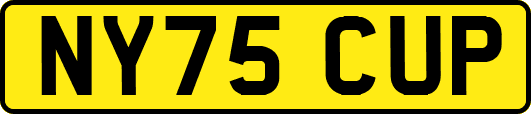 NY75CUP