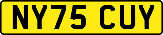 NY75CUY