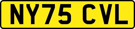 NY75CVL